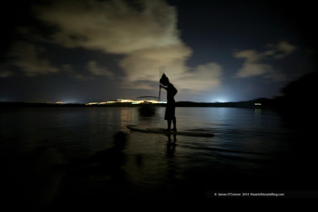 Bioluminescence Tour Tobago at night